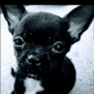 Meet your Posher, Kc